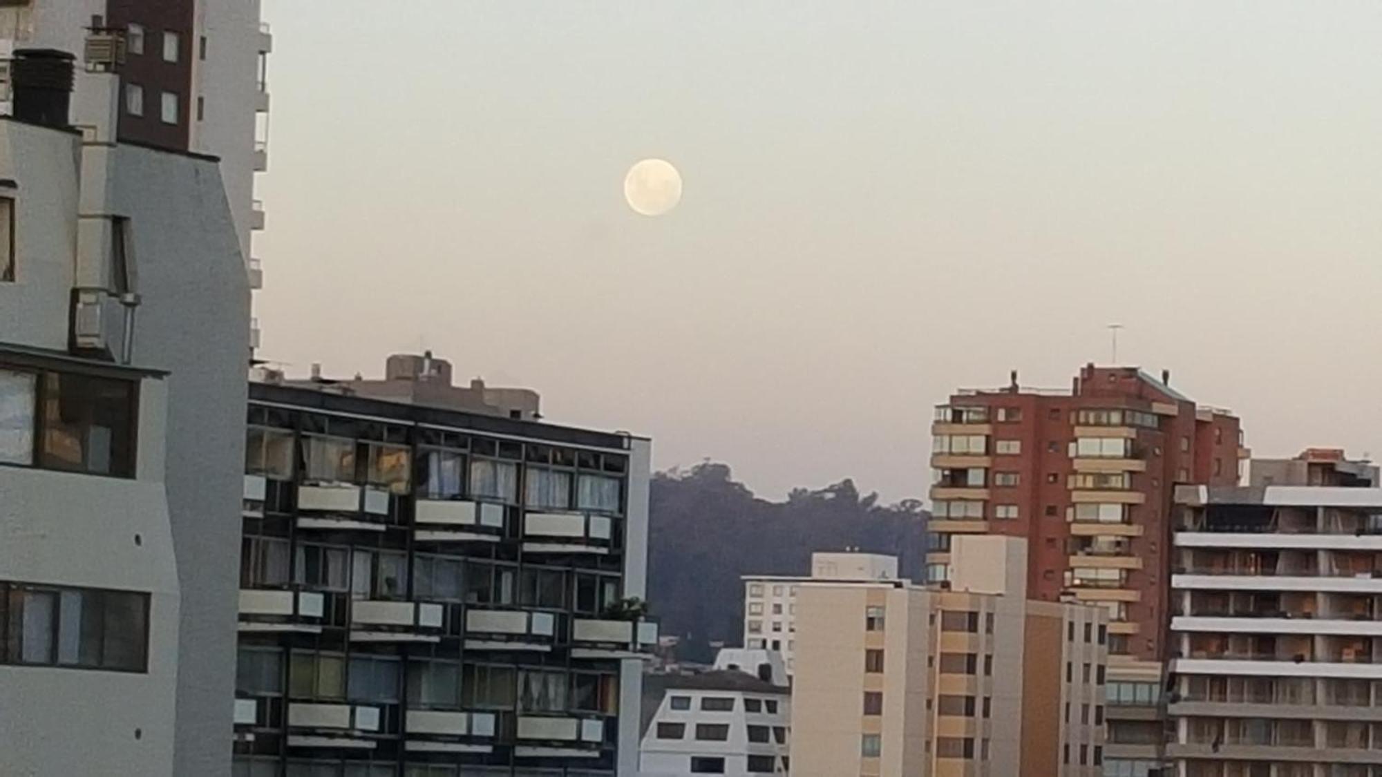Edificio Maya Vina del Mar Bilik gambar